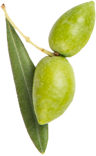 Green olive