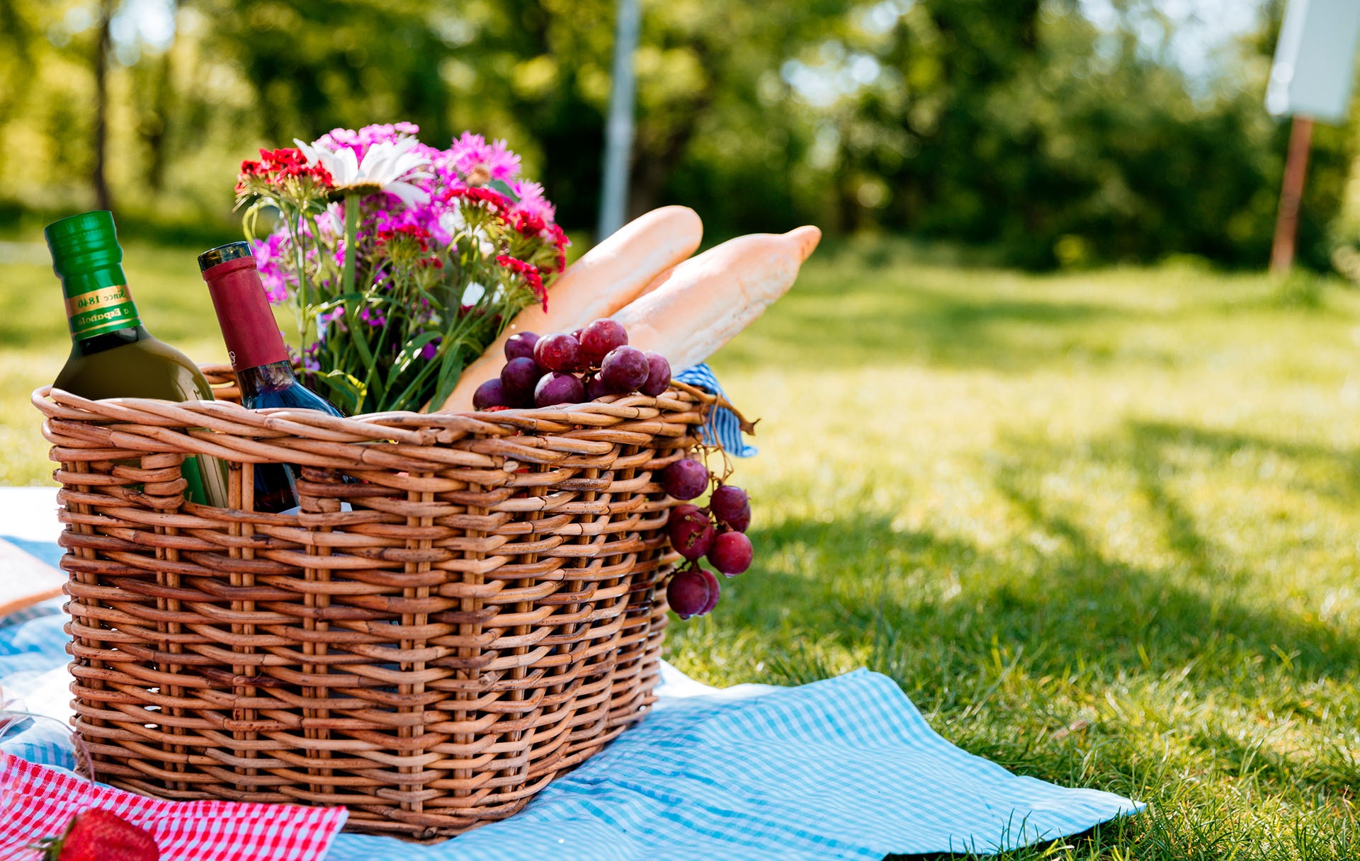 How to Pack the Perfect Picnic Basket