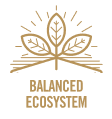 Balanced ecosystem